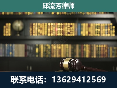 蒙自-经济类案件